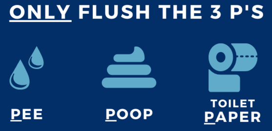 flush2